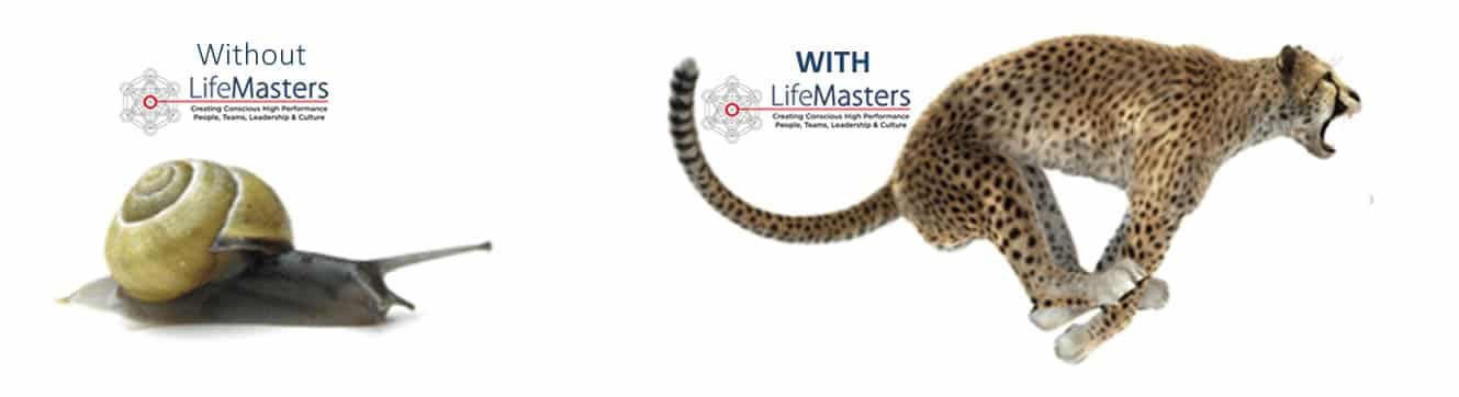 Neuro Team Building Hpo Benefits High Performance Team Building Events Gauteng