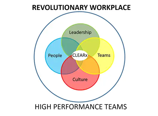 Ptlc Model1 And High Performance Team Building Events Ideas Gauteng