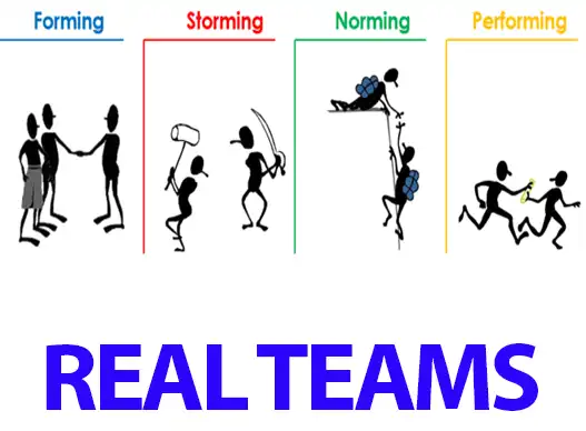 Realteam Building Events1 Realteam Building Events1 And High Performance Team Building Events Ideas Gauteng