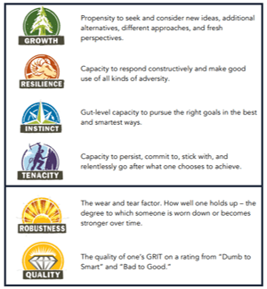 Grit Scales Grit Scales And High Performance Teams Building Sessions Gauteng Johannesburg