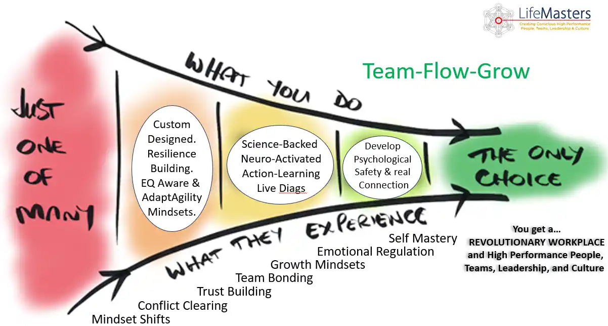 Lifemastersvaluefunnel1 1 And High Performance Team Building Events Ideas Gauteng