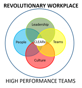 ptlc frameworkv2 1 and High Performance Teams building events gauteng