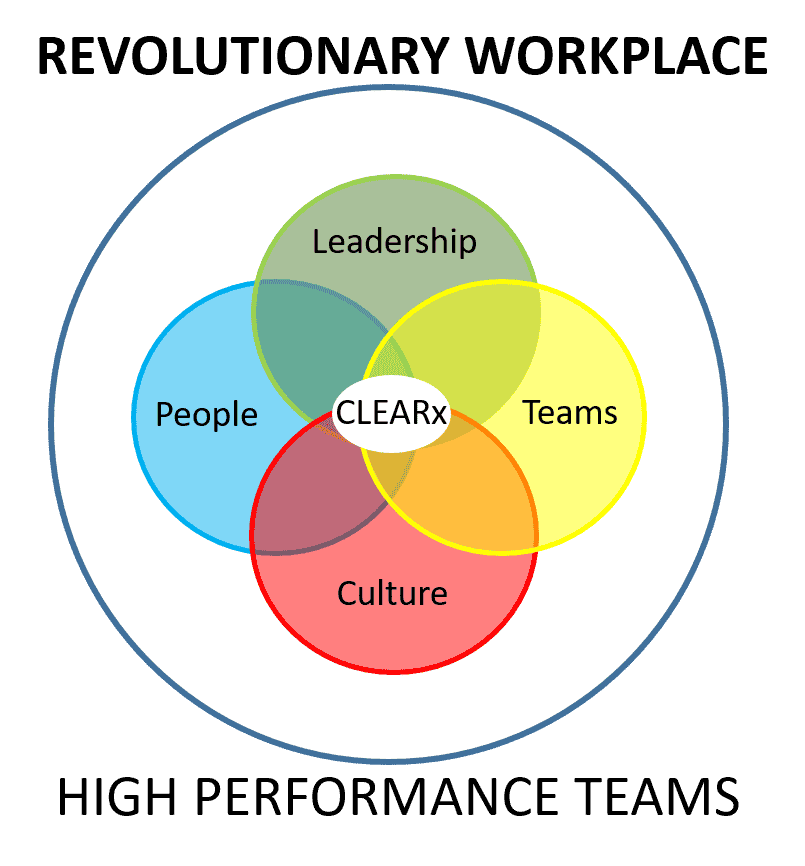 Performance-Problems 5 Team Building Johannesburg Ptlc Frameworkv2 And High Performance Teams Building Sessions Gauteng Johannesburg