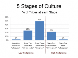 tribe leadership culture and High Performance Teams building events gauteng